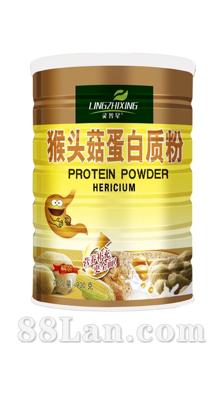 猴头菇蛋白质粉-灵智星