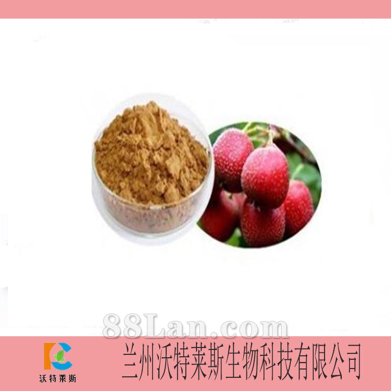 山楂叶生粉图片