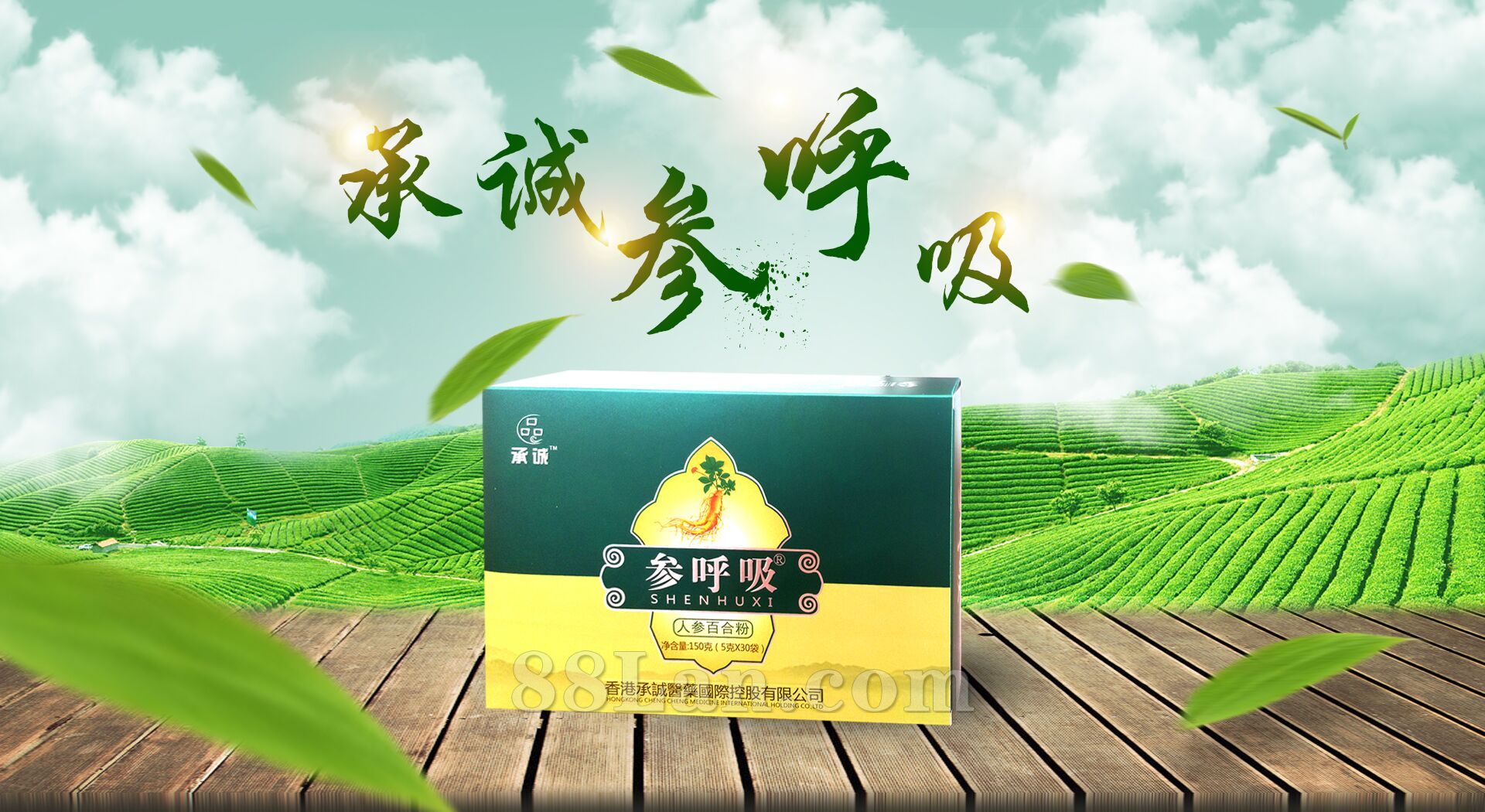 葵花盘 肽 治痛风