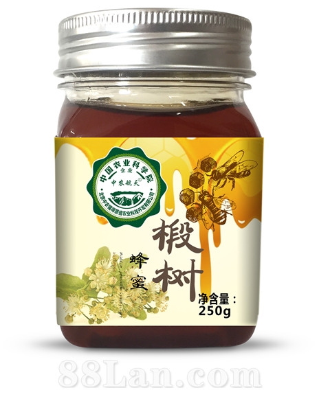 中农航天椴树蜂蜜250g