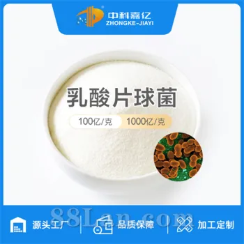 乳酸片球菌100亿g冻干型乳酸菌粉益生菌原料