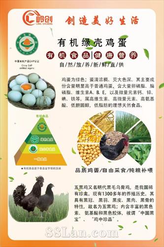 有机绿壳鸡蛋