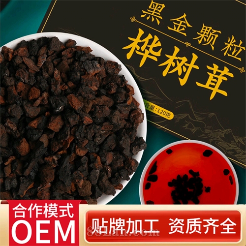 桦树茸代用茶黑金颗粒OEM贴牌代加工 源头生产厂家